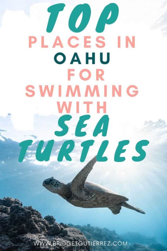 places to snorkel with turtles in Oahu,Hawaii  Pinterest pin