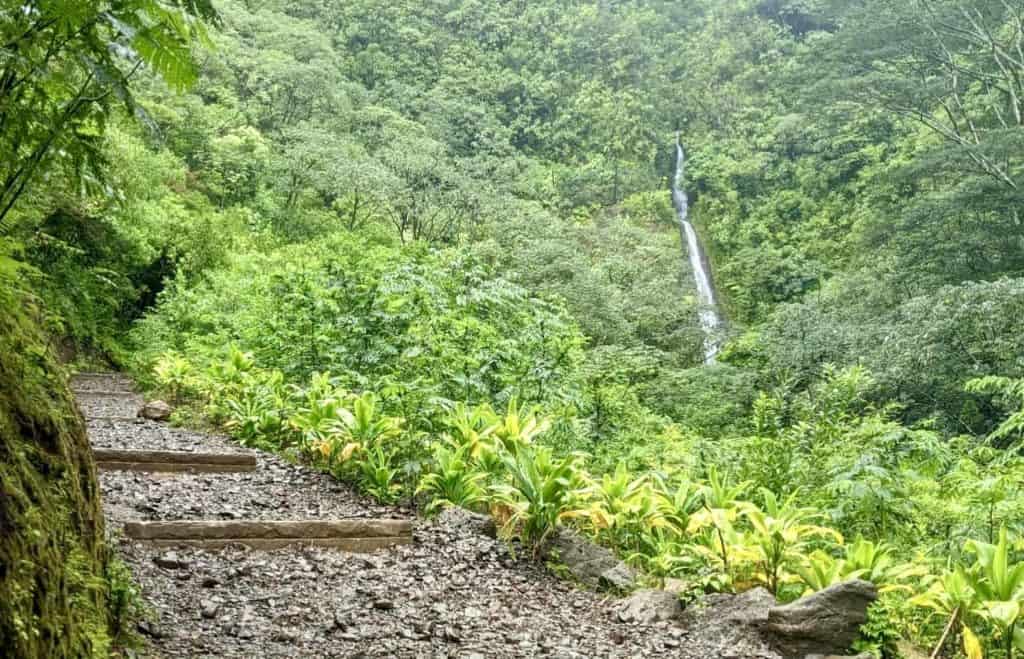view of the 150 foot waterfall of Moana falls in oahu
