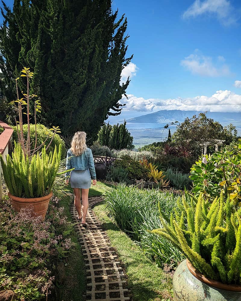 Ali'i Kula Lavender Farm