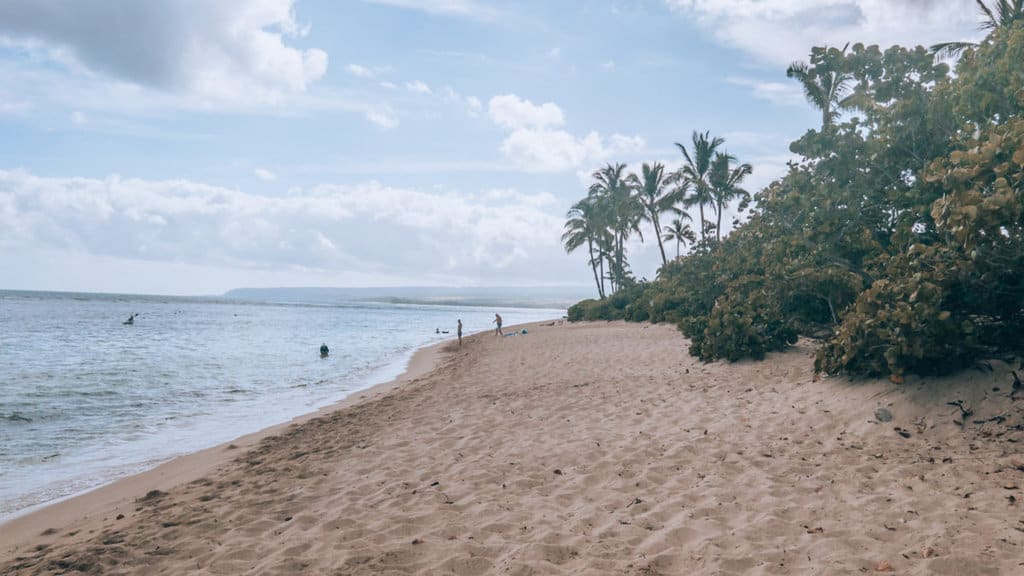 Aweoweo Beach Park local beach in north shore