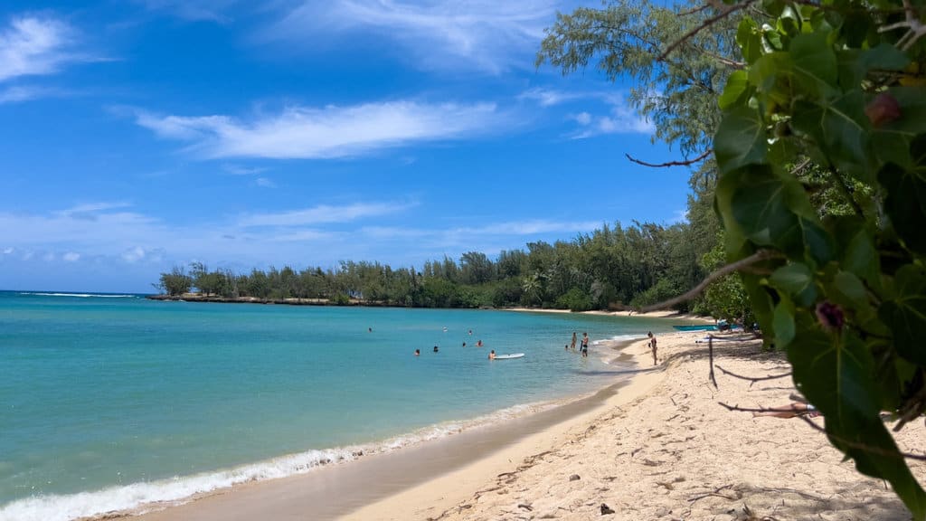 north shore dog friendly beaches