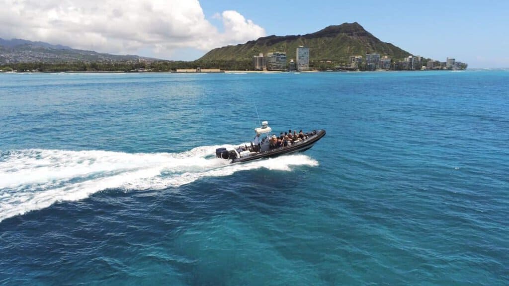 boat for whale watching tour oahu